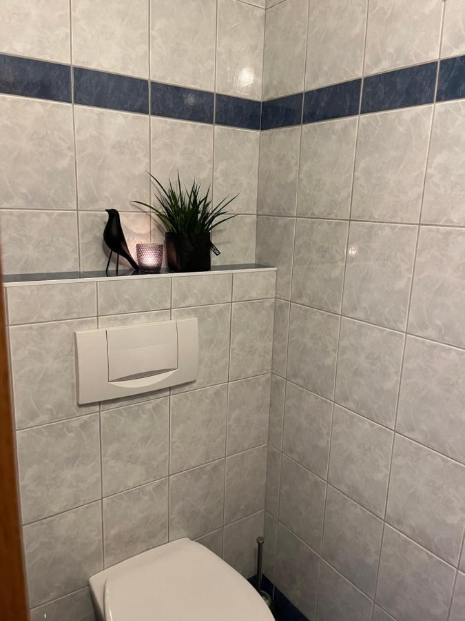 Appartement Stahlhammer Flachau Zewnętrze zdjęcie